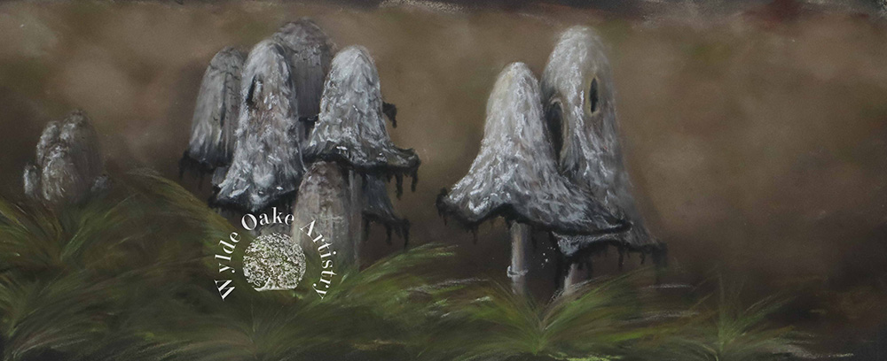 And then they were gone